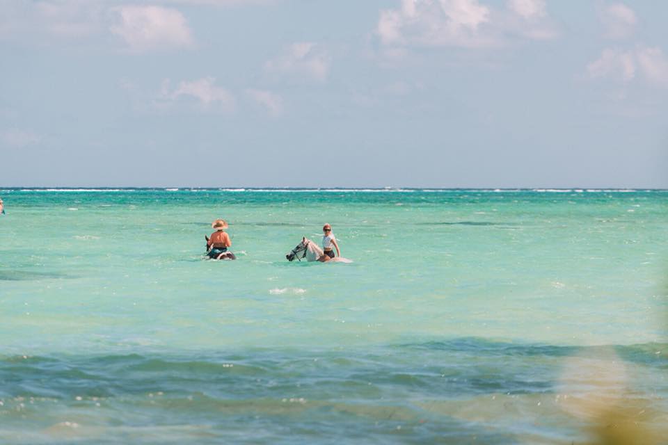 DiscoverCayman's tweet photo. A day with Cayman Horse Riding...you won't forget it.

#DiscoverCayman #CaymanIslands #Caribbean #Horsebackriding #Tropical https://t.co/knewH8IDGj