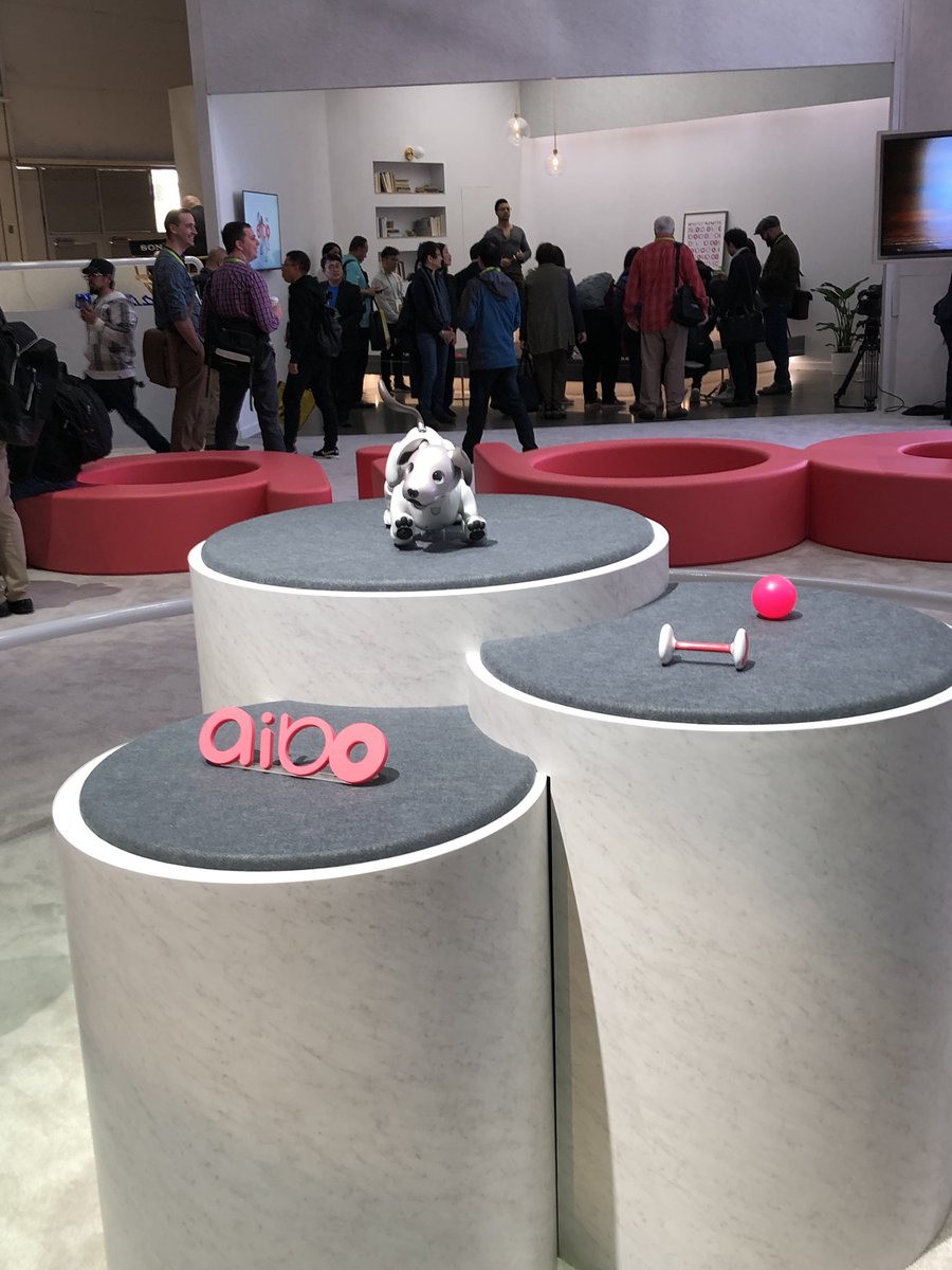 whitneyfishman's tweet photo. Meet my new pup: @sony aibo! #WavemakerAtCES https://t.co/g9fkRKE4XH