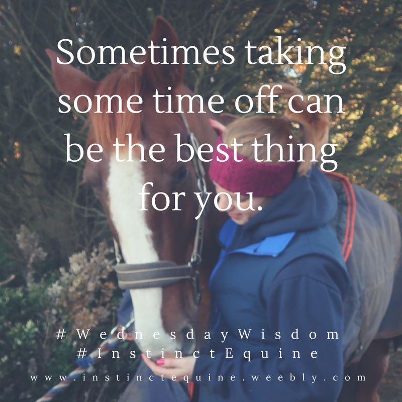 Instinctively Equine tweet media