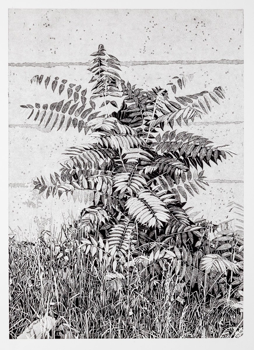 Philipp Hennevogl  >> Im toten Winkel <<
Opening 13. Januar 2018 // 11.00 - 20.00
Rundgang der Spinnereigalerien