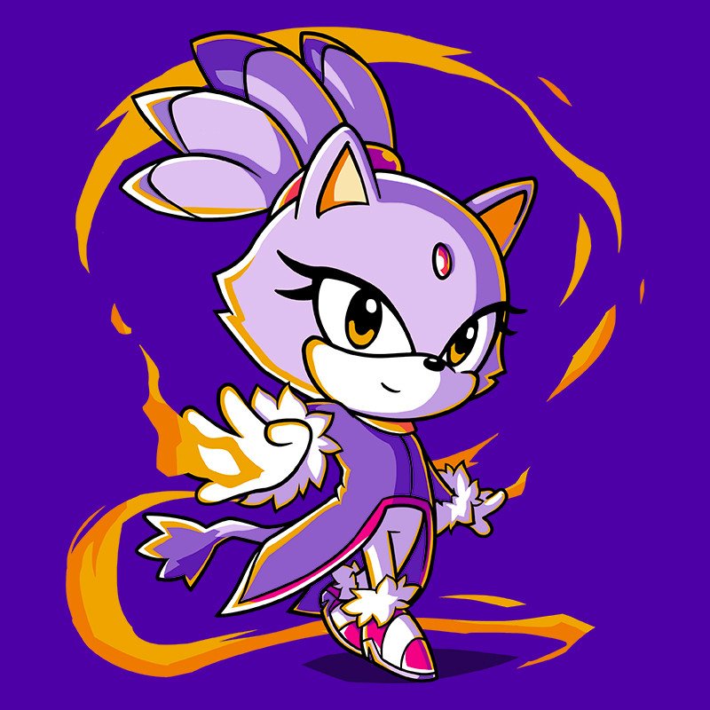 Sonic the Hedgehog Character Cast Sonic (SONIC SONIC) SONIC THE HEDGEHOG  SONIC THE HEDGEHOG Sonic Tails Knuckles Shadow Silver Rouge Espio Charmy  Vector Classic Sonic Blaze the Cat Big the Cat Metal