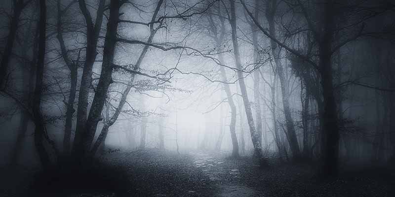 BeyondTrust's tweet image. New blog from CISSP, Chad Erbe - BeyondTrust and #Spectre – “I ain’t afraid of no ghost!” #meltdownspectre #meltdownattack #intelbug bit.ly/2mfozu8