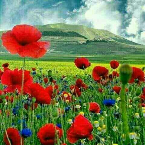Samirsari8 tweet picture