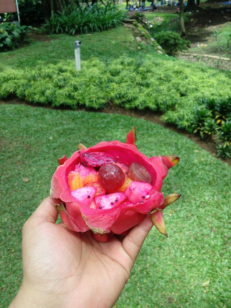 Kulit buah naga dengan isian buah apel, jeruk, anggur dan buah naga itu sendiri..... Menyegarkan! #IMS_BUAHKESUKAAN