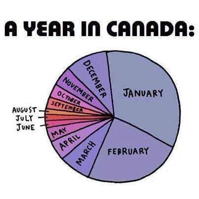 Seasonal Pie Chart