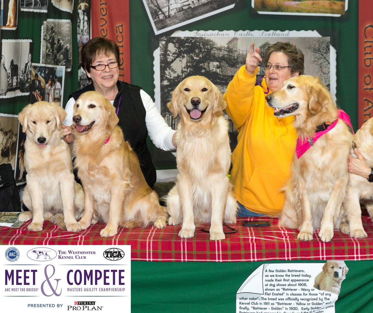 American Kennel Club Meet The Breeds 2025