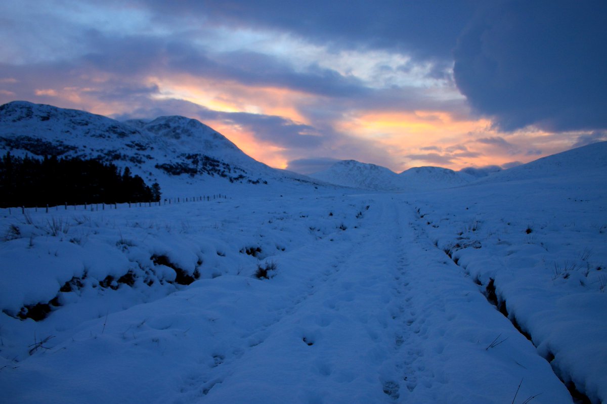 Become_PT's tweet photo. @VisitScotland A snowy track into the Fisherfields at sunset and the pups posing in front of Sail Mhor and An Teallach. https://t.co/435fnsn7d6