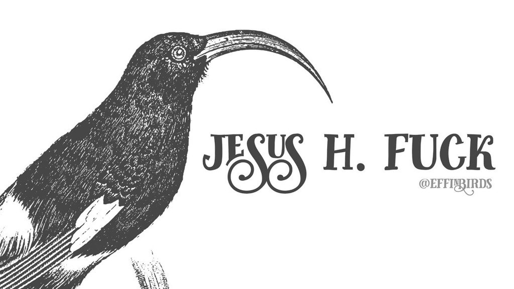 EffinBirds's tweet photo. https://t.co/sFnKz7mNM7