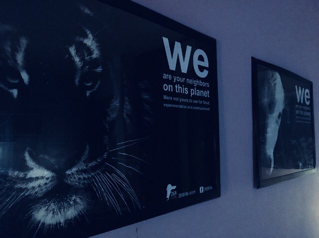 sarakaysen_'s tweet photo. 📷This is my home.
These are yours #AnimalRights Ads. You are always with me @269_life @269lifeNews!
I love #269life! #Free269🖤 https://t.co/a8sKprOB9l