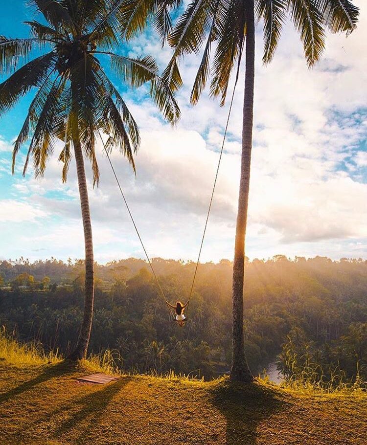 Skin Woof tweet media