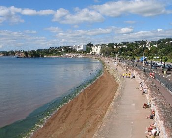 FISC2022's tweet image. Details for our stop over including hotel are in Fisc Members.  Non Members can purchase on Monday #Torquay #afcfyldeaway #challyarmy #budgiesmugglers