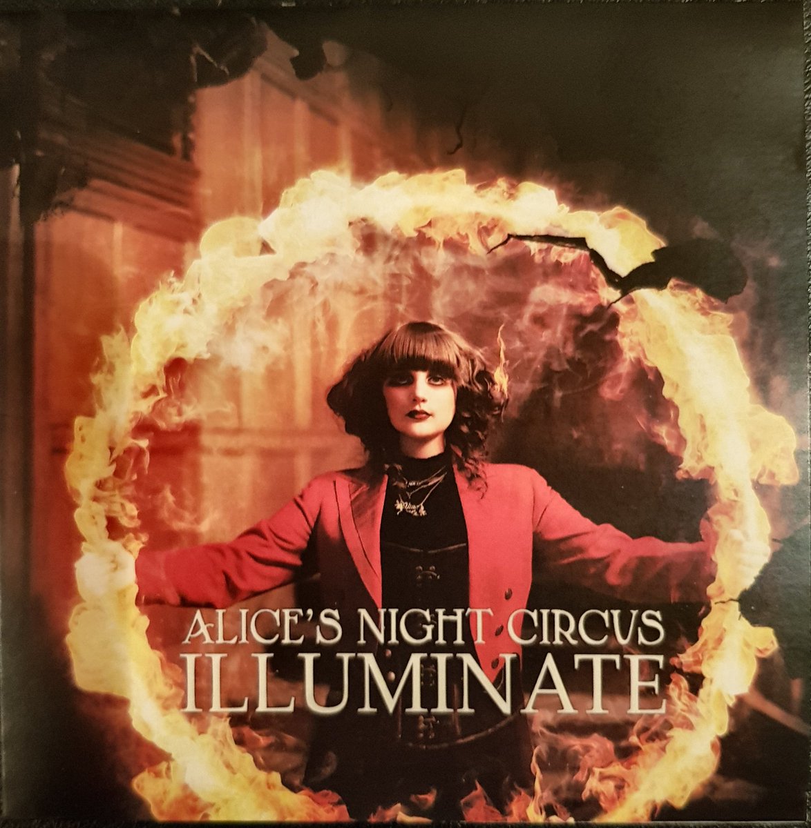 CDVDduplication's tweet image. Check out @alicencircus.
Something a bit different. Talented too :-)