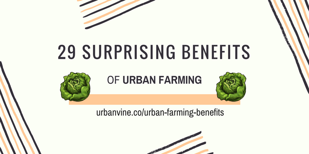 urbanvineco's tweet photo. 29 Surprising Benefits of #urbanfarming

> https://t.co/houc9fWU7G

#agtech https://t.co/KdNuhQbtmP