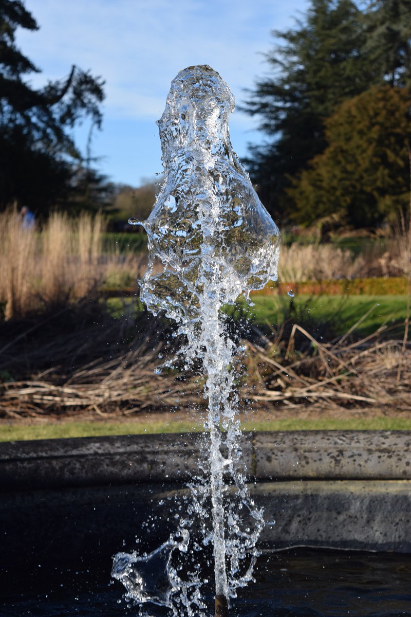jachiyan69's tweet image. #O2SPhoto

Trentham gardens,
new camera Nikon d5300, still experimenting. wrong time of day from course advice but great fun.