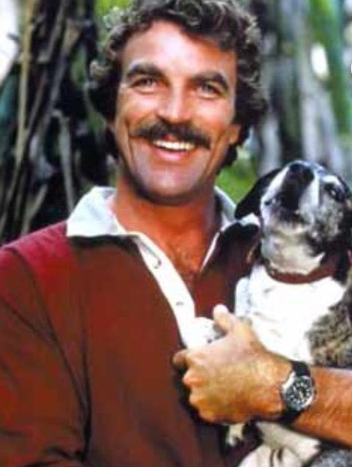 JingleBeau4's tweet photo. @AlaskaAndMadi To make sure your Twitter is doing proper, here’s a lovely picture of Tom Selleck holding a dog. #WelcomeBack https://t.co/ckkradYbnG
