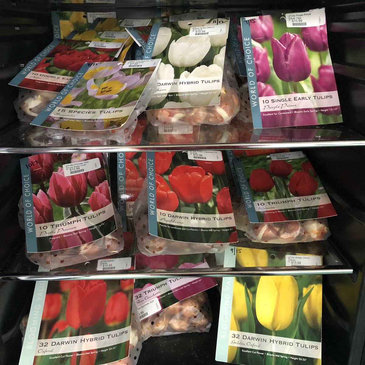 buchanansplants's tweet photo. Time to plant tulips. Ours are pre-chilled and located in our bulb mart. #springflowers #bulbplanting #gardenlife #flowersforspring #springblooms https://t.co/q2lFmc92e9