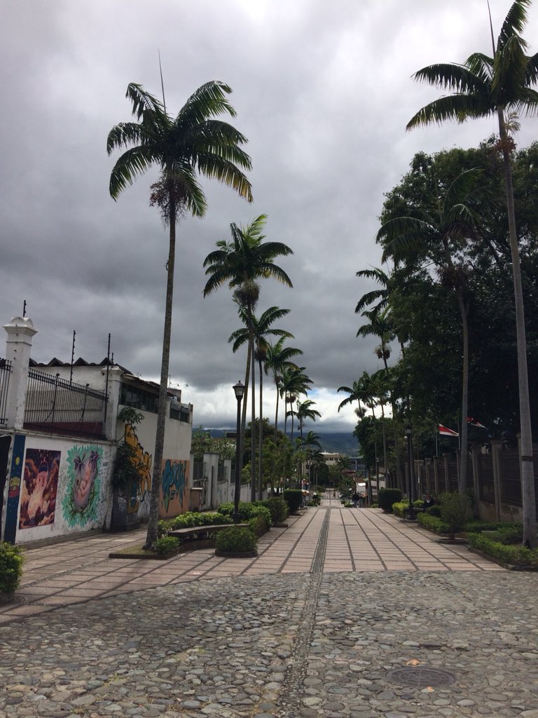 AlyssaHallauer's tweet photo. Some pretty pics I’ve taken that I thought y’all could enjoy https://t.co/eqgEo9GWld
