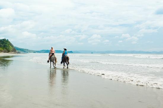 discoversjds's tweet photo. Grand opportunity to buy a development lot on Playa Hermosa, the newest and quickly becoming the hottest surf destination in southern Nicaragua!  Enjoy the beautiful wide sandy beach of Hermosa which is perfect for starting your own development or hotel or just a personal house https://t.co/lWIo2pVyOq