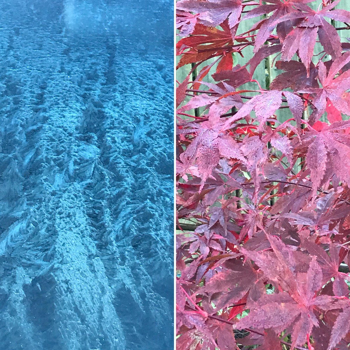 Its been very frosty recently and -6 on Monday morning.  Look at how the colours make you feel in the photo.  Colours impact on us more than we realise.  Are you wearing the right colours and style for YOU as an individual ?  ow.ly/e8y130hDHXH #colours #style #fashiondiva