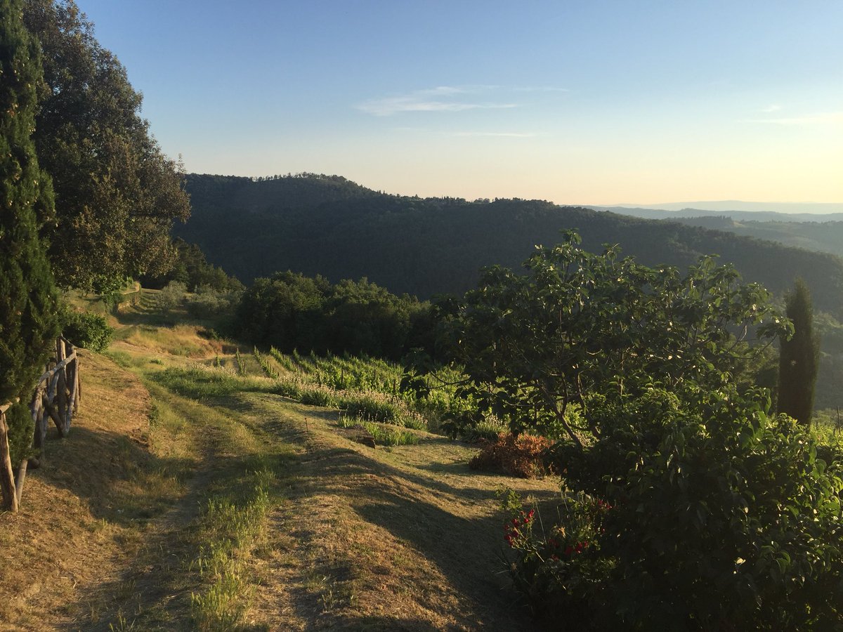 Anche #Lamole nel Registro nazionale dei paesaggi rurali di interesse storico, delle pratiche agricole e delle conoscenze tradizionali <a href="/IFabbriLamole/">I Fabbri Chianti Classico</a> #paolosocci