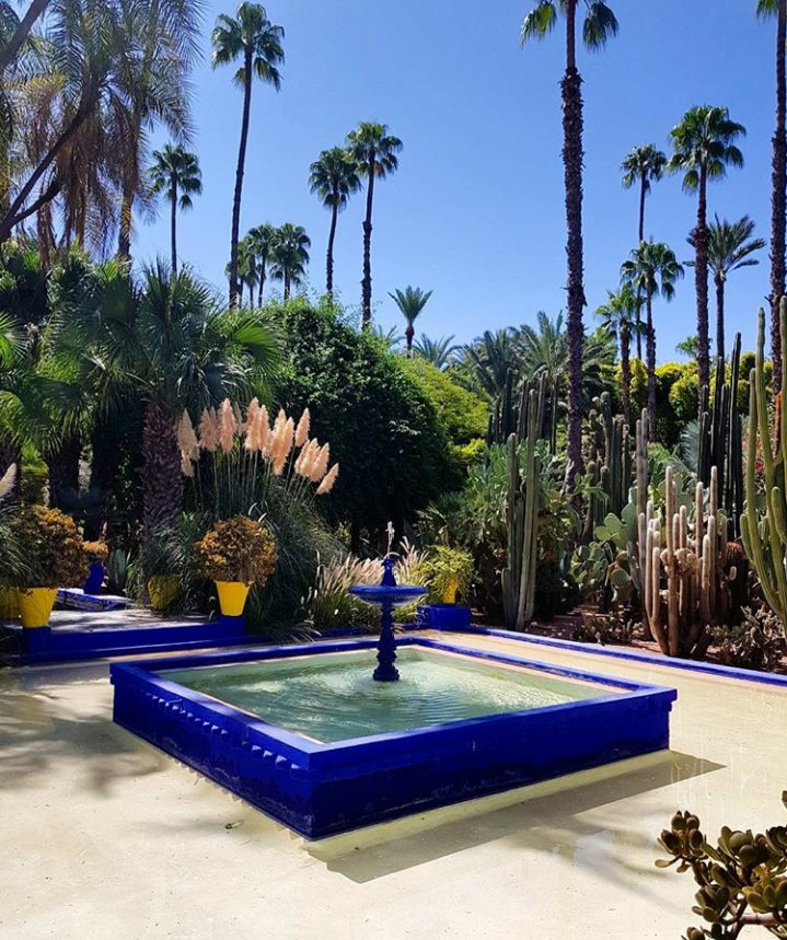 The Majorelle Garden is a botanical garden inspired by the Islamic gardens located in the center of Marrakesh, Morocco, where there is also a museum of Berber culture. It occupies about one hectare to the northwest of the almedina and houses about 3,000 botanical species