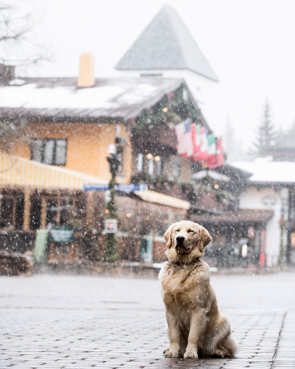 vailmtn's tweet photo. Get your game faces on, it’s snowing in Vail. #VailSnow https://t.co/sYhk7Pd7u4