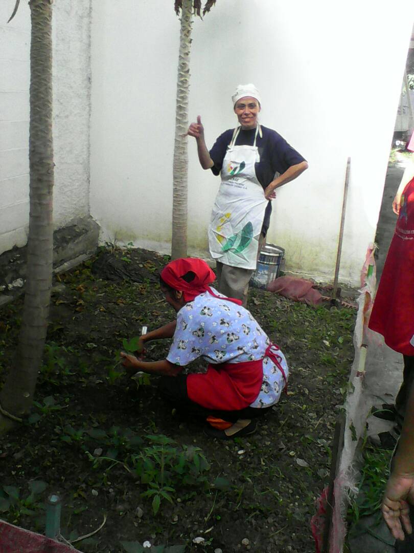 CE_FERMINTORO's tweet photo. Madres y padres procesadores de la patria comenzando el 2018 sembrando tomate y aji, en los terrenos fermintoreanos @CE_FERMINTORO https://t.co/VKy96Zs1ai