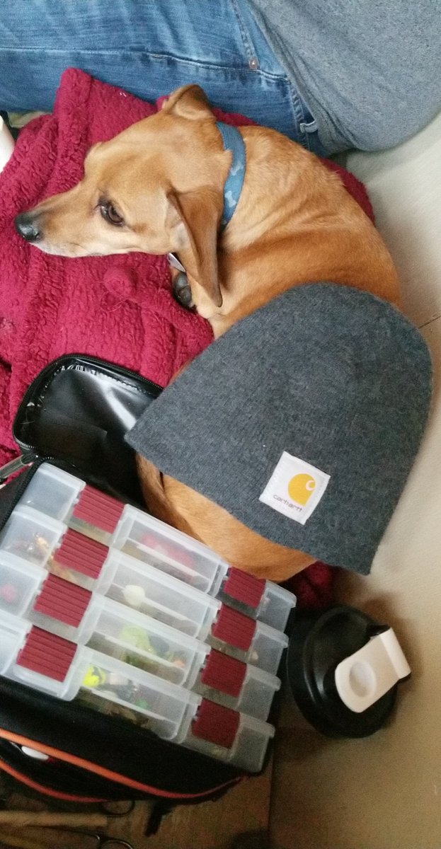 hoffmann79's tweet image. Ice fishing gets cold, but @Carhartt warms up even the smallest fishers. #cocodog #lakeofthewoods #napsbetweenbites