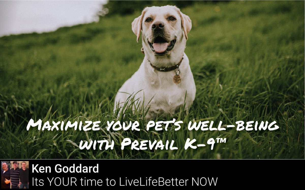 4livelifebetter's tweet photo. Make your pet’s health a priority today! https://t.co/lsbaxitd5G