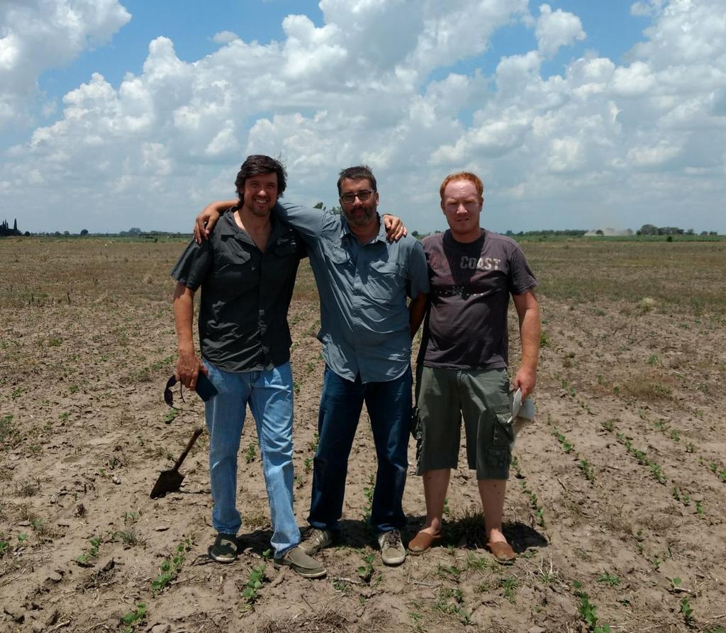 IDEARGalvez's tweet photo. De recorrida por ensayos de tratamientos de semilla + densidades  #sunato,  muy buenas diferencias, Galvez  (Sta fe). https://t.co/KknoPHrSyG