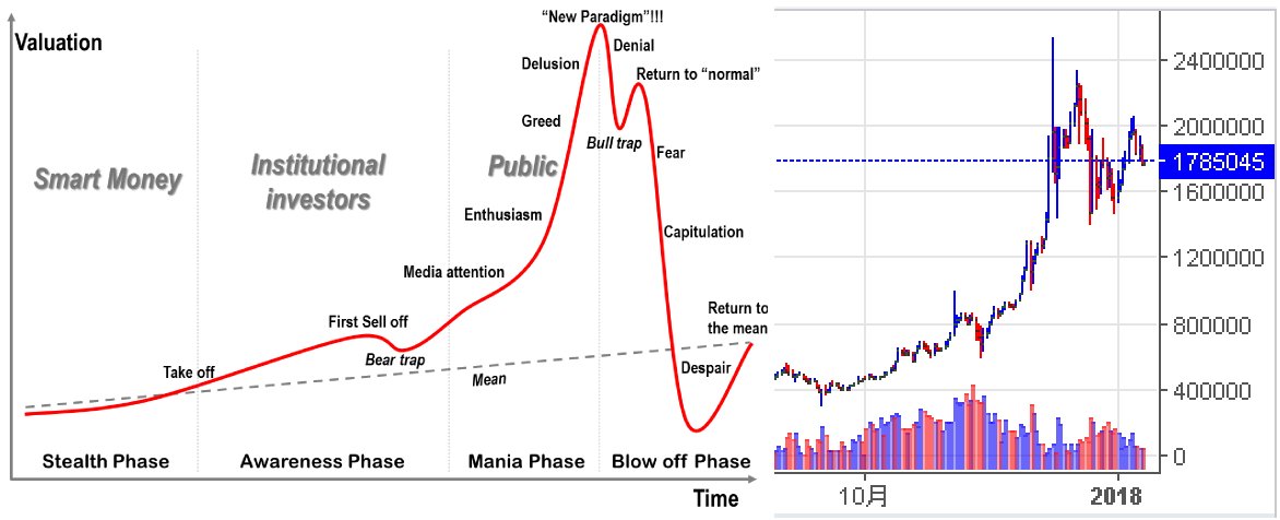 Tanaka ひきこもり24時 On Twitter バブル崩壊チャートの典型例とbtcの比較画像置いておきます
