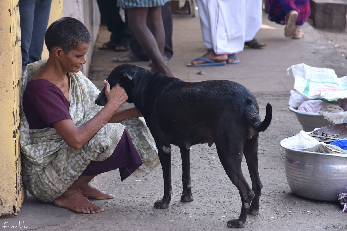 frankklinkumar's tweet photo. East Avani Moola Street, Madurai
அன்பிற்கும் உண்டோ அடைக்குந்தாழ்
#streetdogs #dogcare #pets #people #peopleofmadurai #streetsofmadurai #streetphotography #instamadurai #madurai #love #loveanimals #franklinkumar https://t.co/sfgjeXvuiP