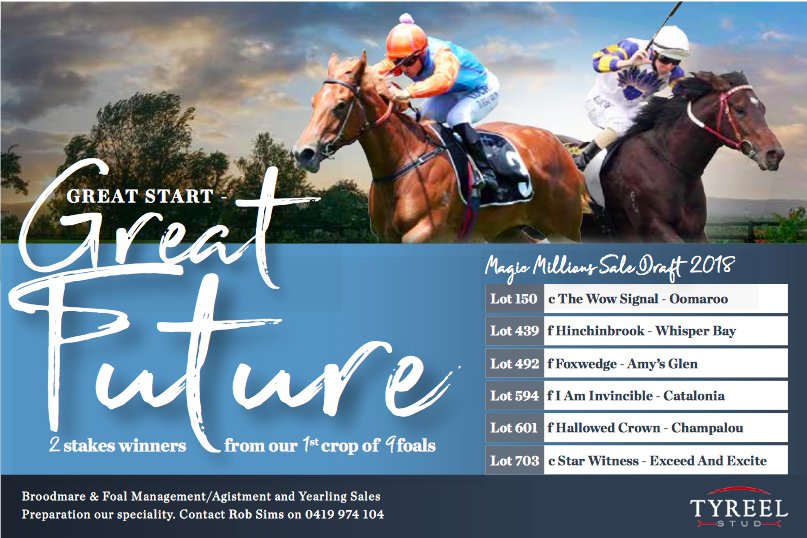 BloodstockMedia's tweet photo. Great Start, Great Future. 2 stakes winners from @TyreelStud's first crop. We did their ad for their @mmsnippets draft https://t.co/WlfrmsSkhv