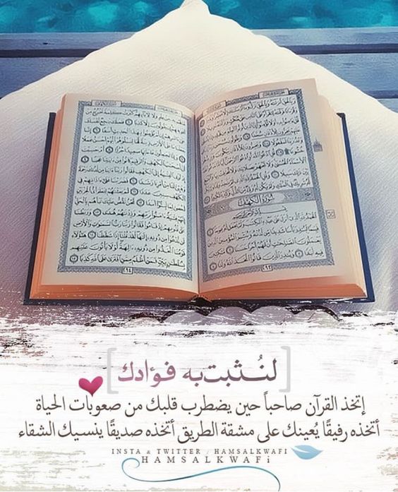 hananhijazih tweet picture