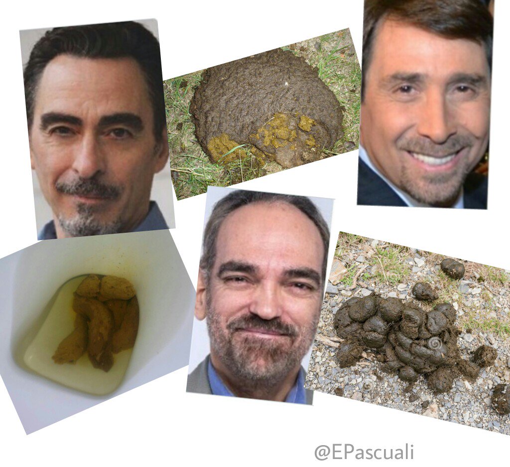 EPascuali's tweet photo. Estoy ordenando las fotos por categoría ¿estas seis van en la misma carpeta, no? https://t.co/BP4WIr3rYx