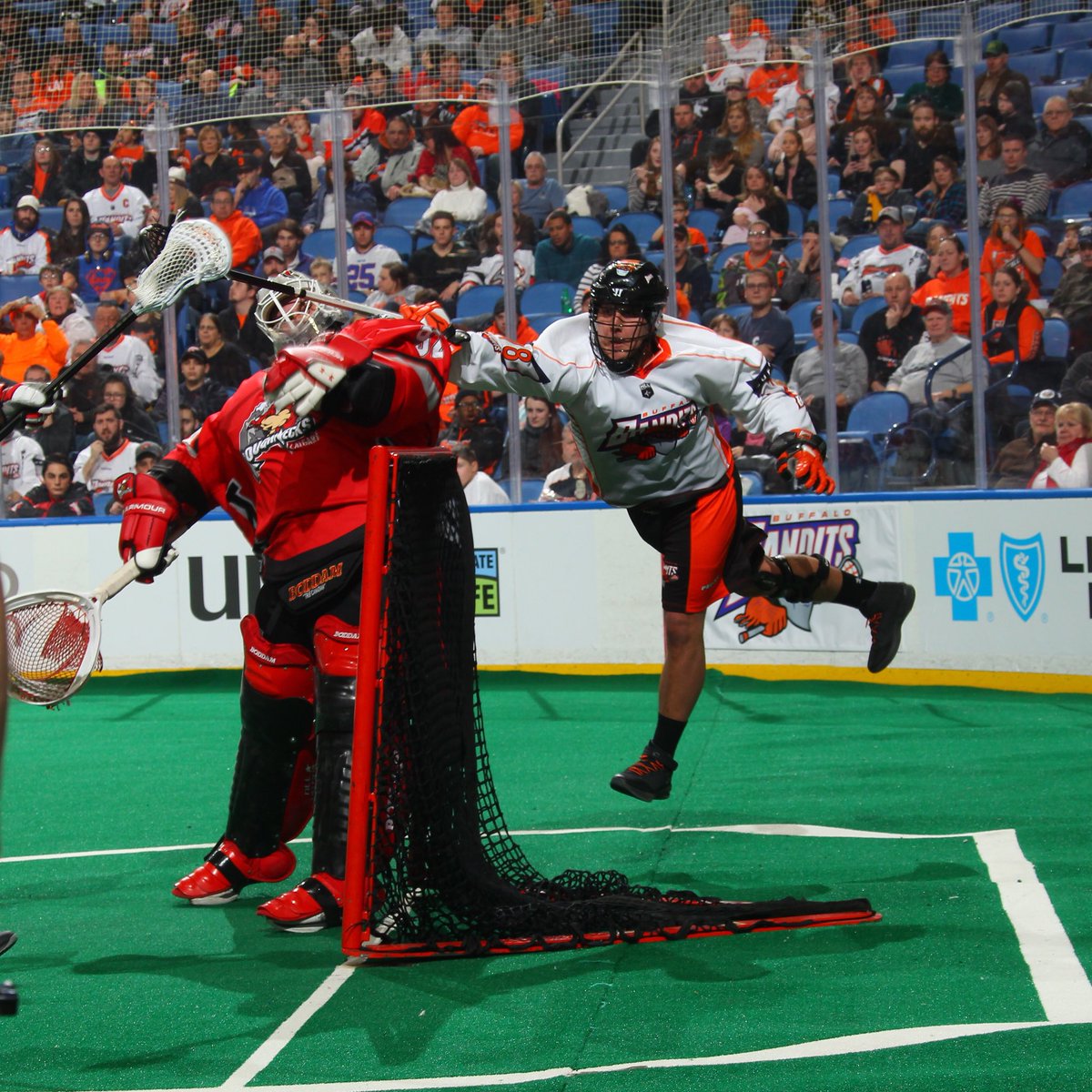 NLLBandits's tweet photo. 🆙🆙🆙 https://t.co/xZG6MwBUlJ