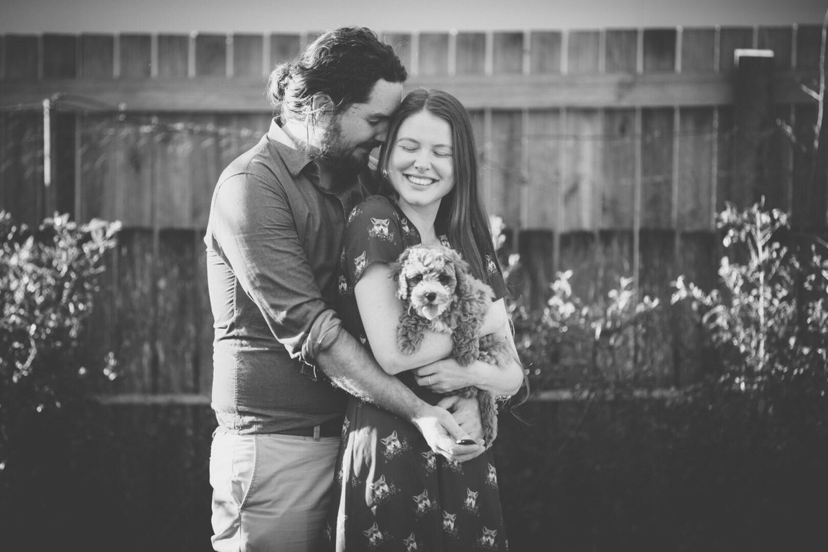 AnnaOsetroff's tweet image. Pupper Love 😍🐶 #spoodle #furbaby #brisbane #puppy