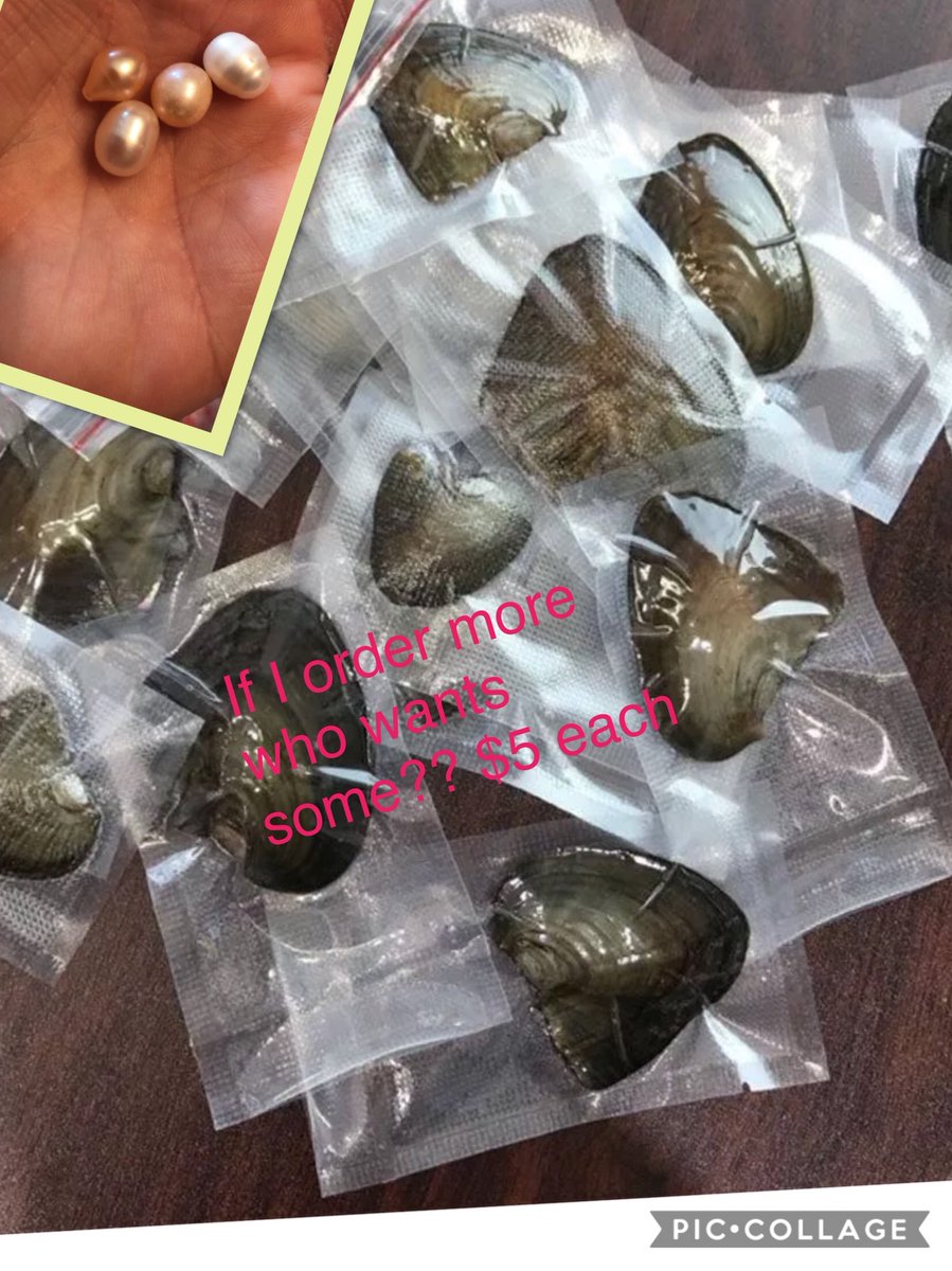 3itworks3's tweet image. #orderingsoon #orderedalready #soldout #allspokenfor #willship #candolivesales #funwithfriends #ordertoopenwithfriends #pearls #osyters #fun #pearlslove #love