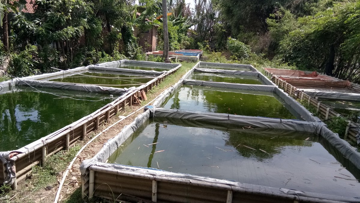 Hamjah Sodik PPB 2023 tweet media