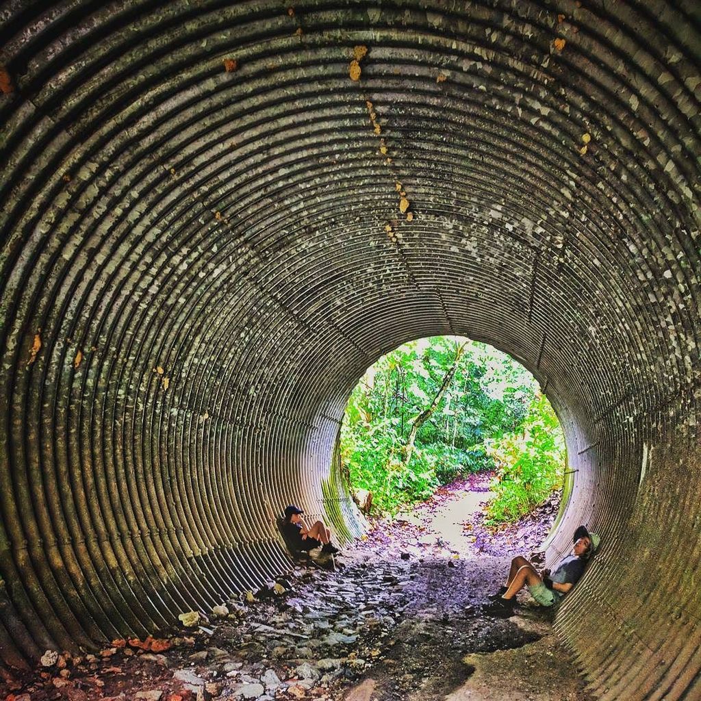 EcoRoamer's tweet photo. Yesterday's 8km #hike put the "rain" in #rainforest so we his out for a while doing a #homeschooling  lesson on the environment! No time like the present...
.
.
.
#almostfearless #tropical #rain #jungle #trekking #worldschooling #travelwithkids #kidswhot… https://t.co/YgB8xG2O5a https://t.co/GhZQibzppN
