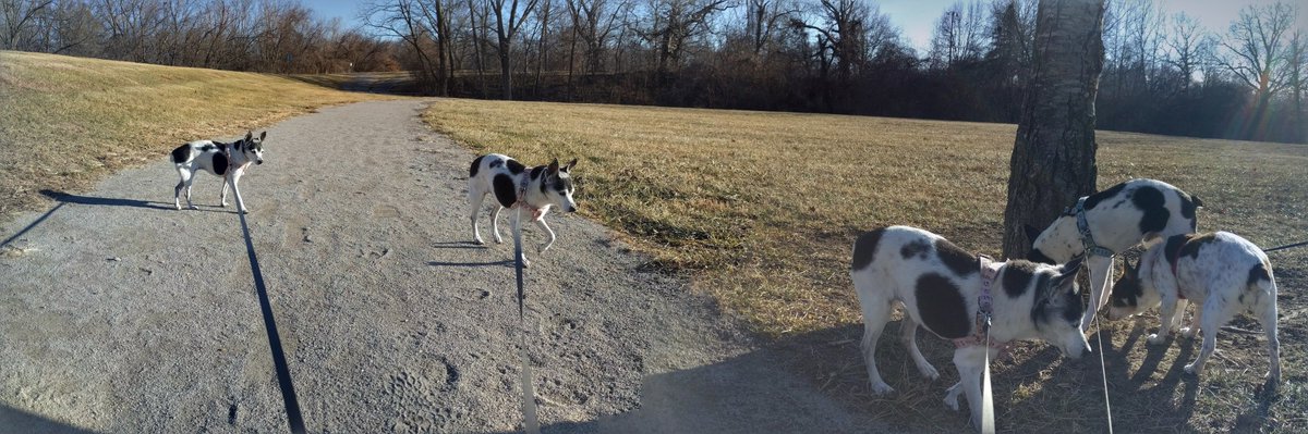 mad mags 🧟‍♀️ 🔥 ☠️ 🌈 tweet media