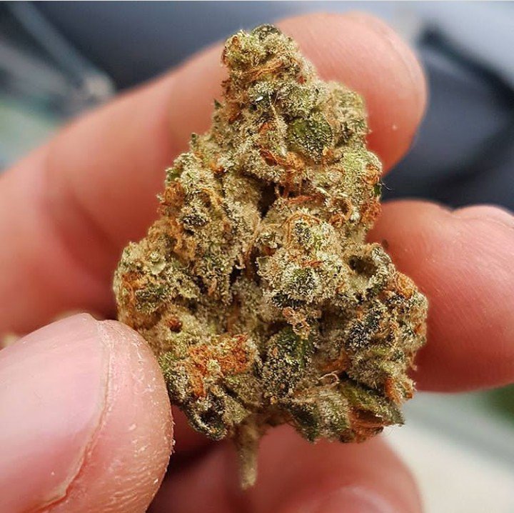 mate_got's tweet image. Good stuffs available now for sell