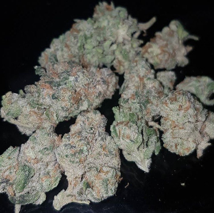 mate_got's tweet image. Good stuffs available now