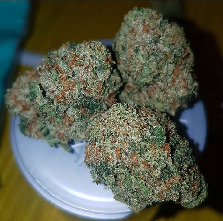 mate_got's tweet image. Good stuffs available now