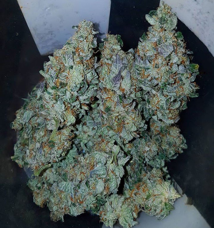 mate_got's tweet image. Good stuffs available now