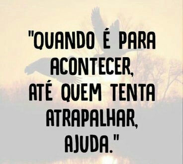 abilio#TIM BETA (@abiliowanderson) on Twitter photo 