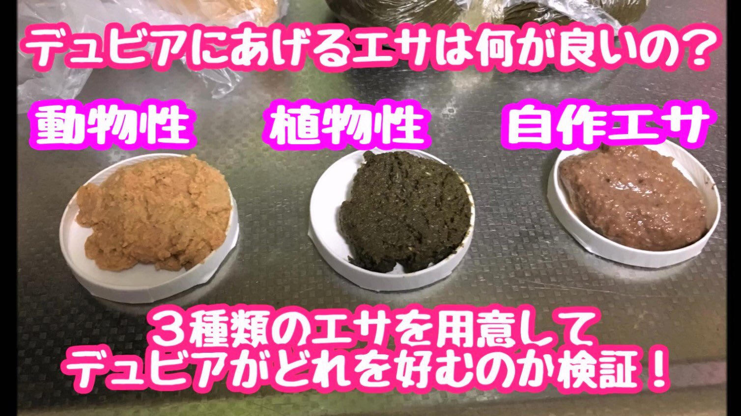 はちゅうch デュビアに与える餌に迷ってる方々の参考になるはず E ラビットフードは練り餌 状にするだけで食いが違う 動画説明欄に自作エサのレシピ付き 嗜好性の比較動画 閲覧注意 デュビアのエサは結局どれが良いのか検証しました T