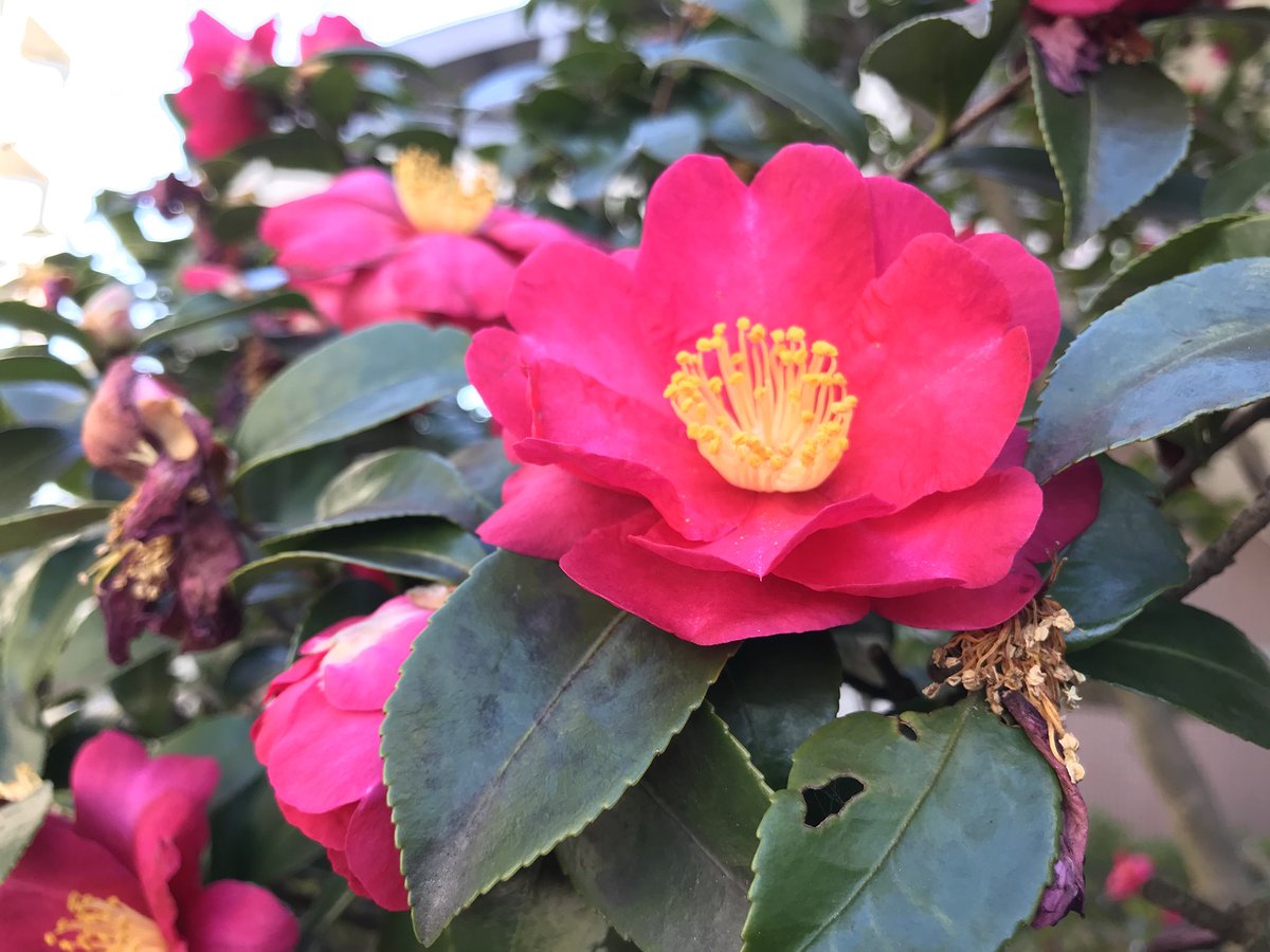 世はなべて三分の一