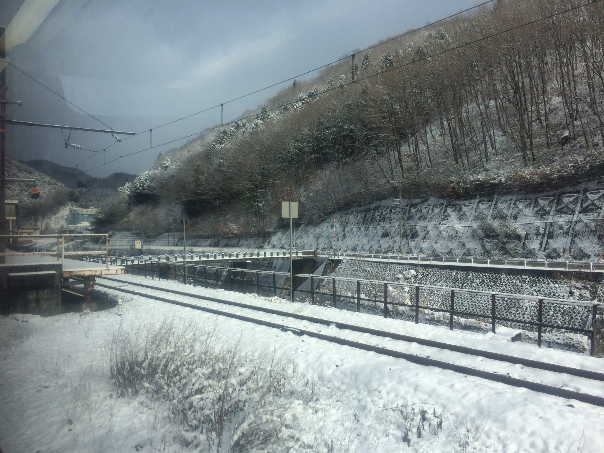 雪原のトビウオ Twitter Search Twitter