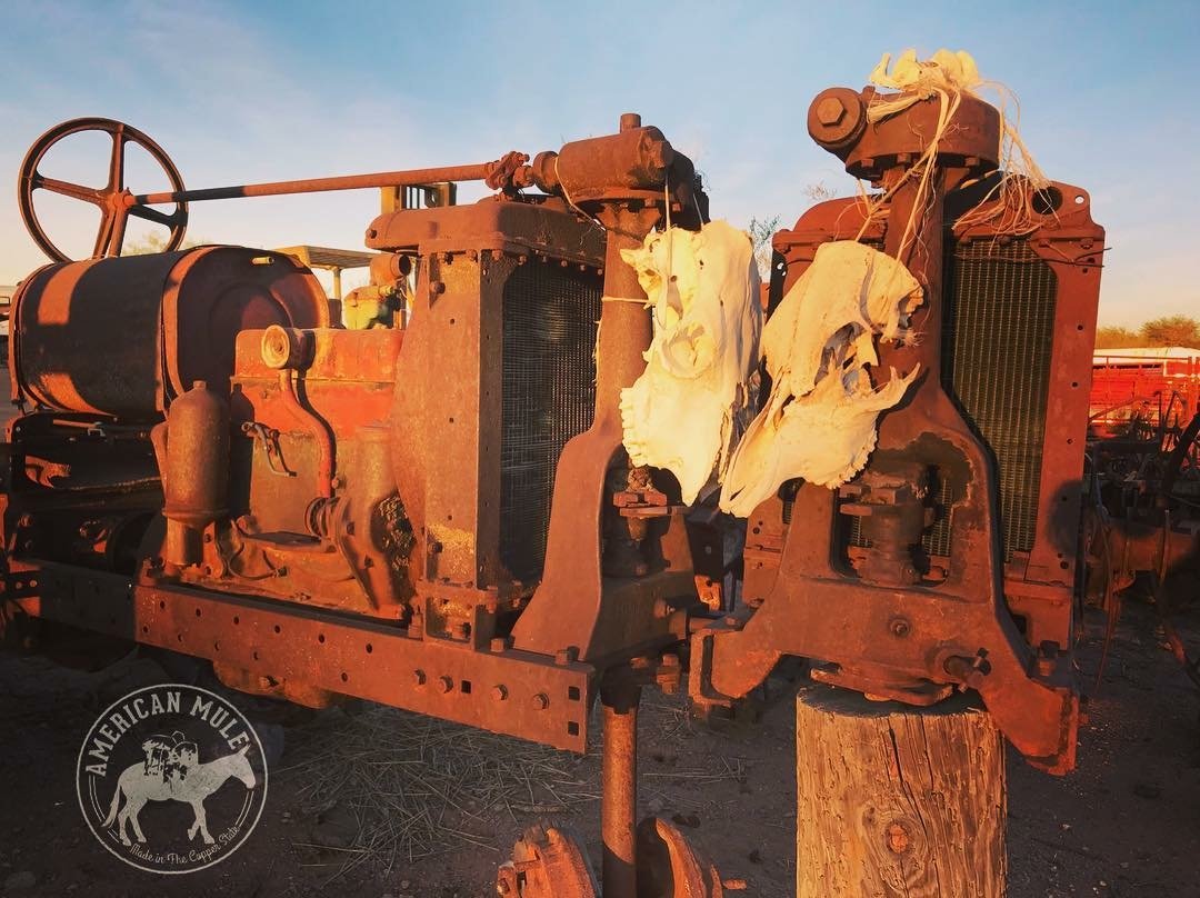 TheAmericanMule's tweet photo. Wild west yard decor making profound statements.... Who wants to go find some Lost Dutchman's Gold with us?

#wildwest #americanmule #supersitionmountains #lostdutchman #golddigger #miner #wildwestdecor #coppermugs #vintagetractor 
#arizona #az #state48 #madeinthecopperstate https://t.co/r6rgOChTGe